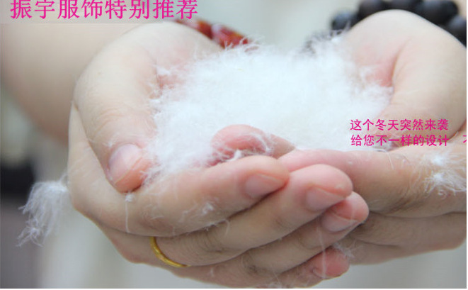 {E8541816-FC96-476F-87C7-33A72