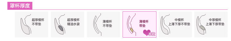 薄模杯帶墊