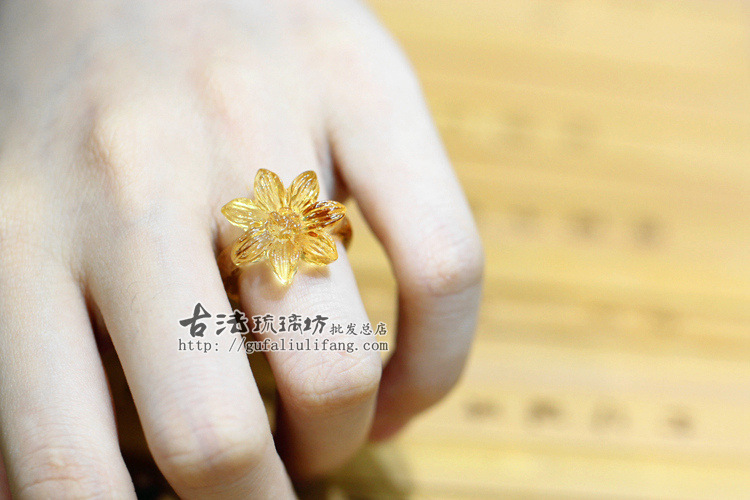 菊花 (4)