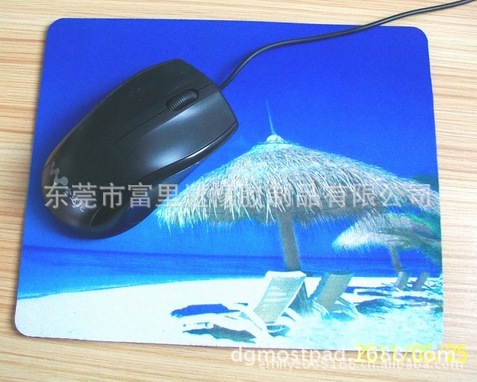 338311323_1249316706