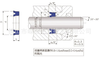 D-4密封圈在活塞杆中用原理图