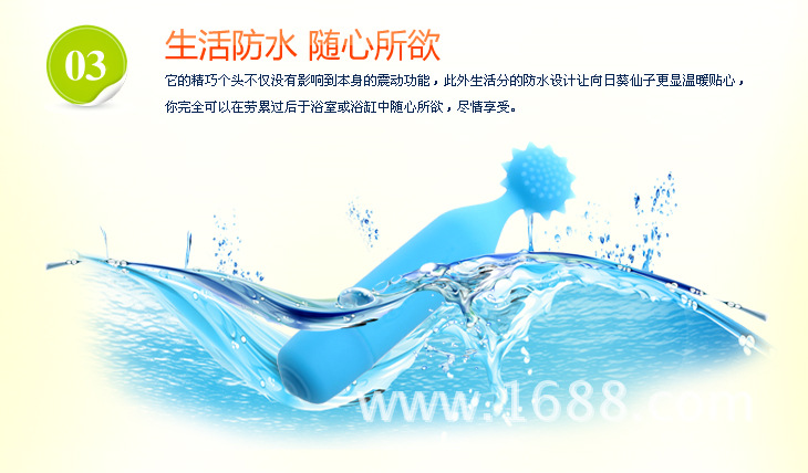 向日葵詳細圖_04