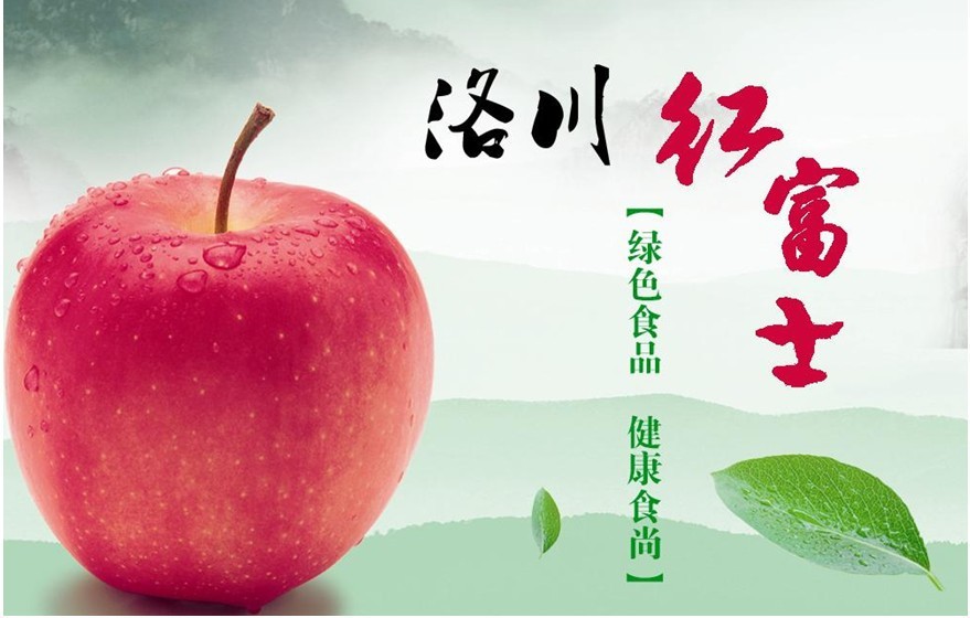苹果2013 洛川苹果开始预定.