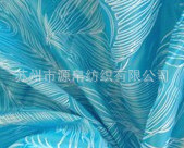 T19lV6XBXfXXXXXXXX_!!0-item_pi