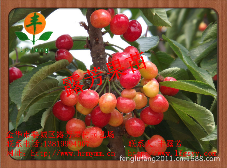 2875266887099921138_副本