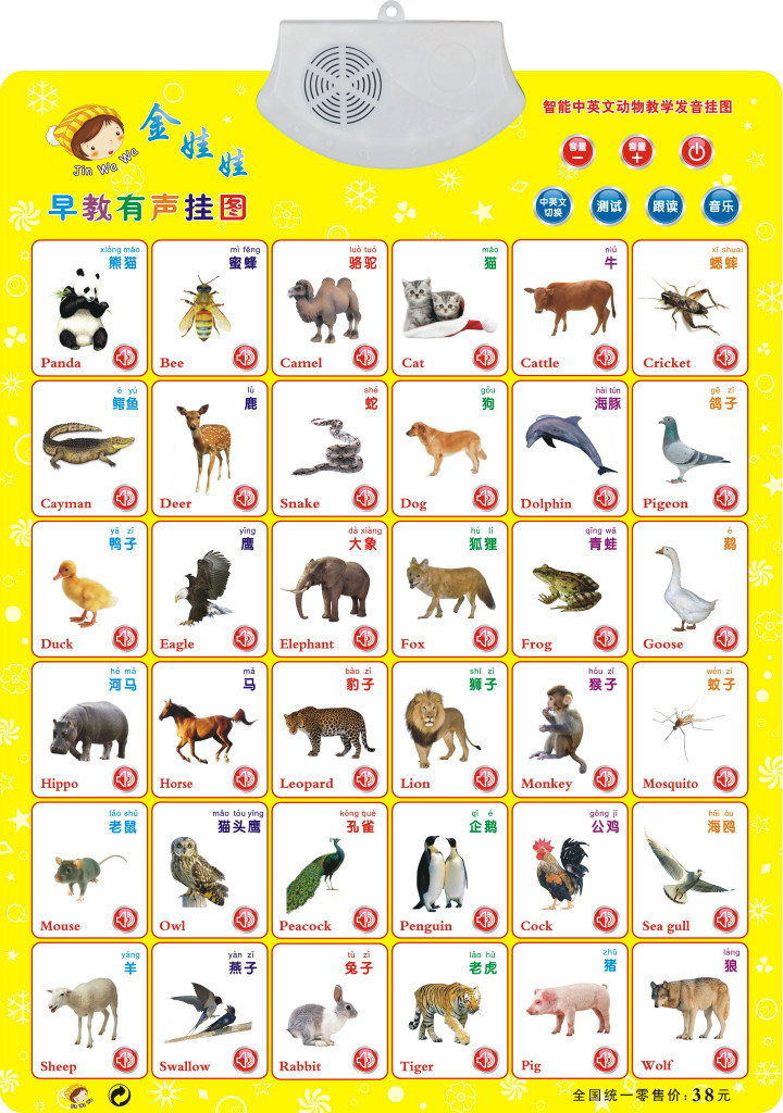 厂家直销 早教 有声挂图 语音挂图 发声挂图 拼音 信誉好 品质高