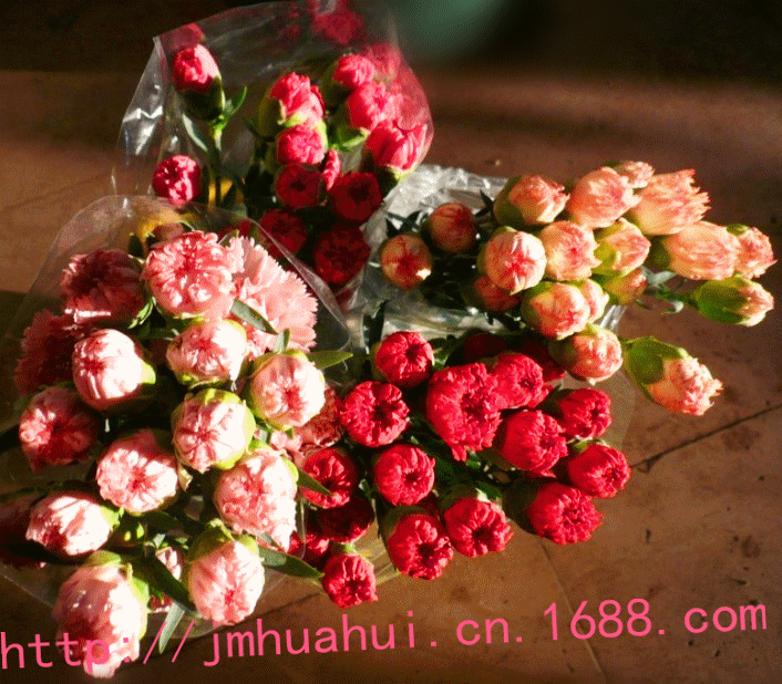 qq图片20131006001436_副本