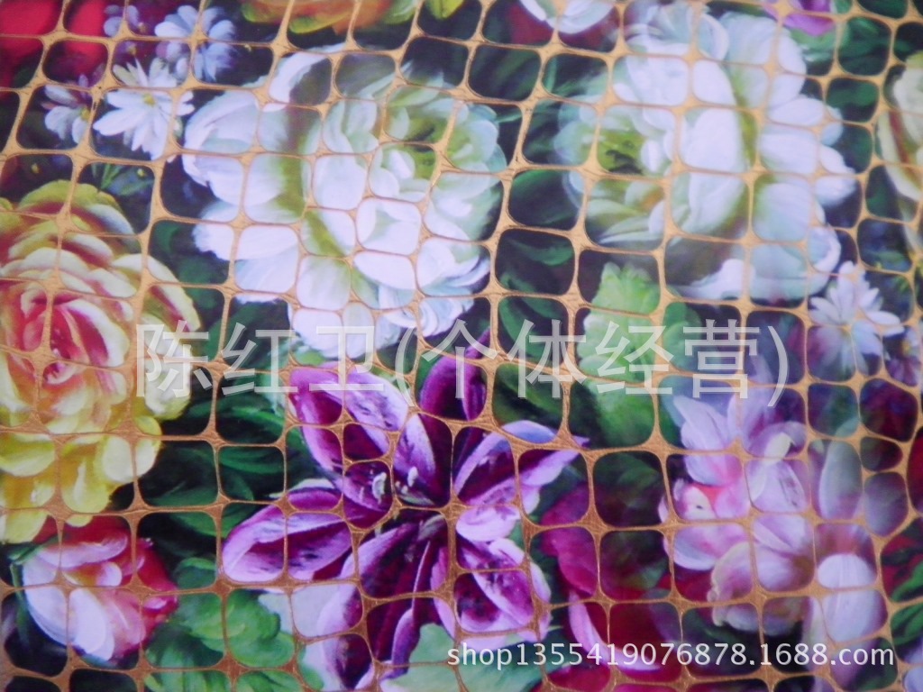 SANY0421