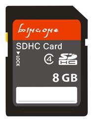 SD8GB