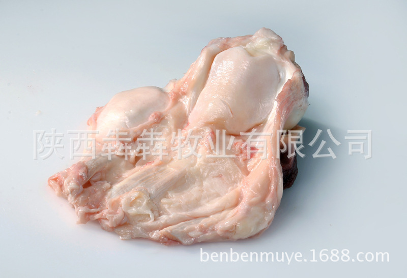 【厂家批发】陕西冷冻牛肉销售 冷鲜 牛窝骨 窝骨筋
