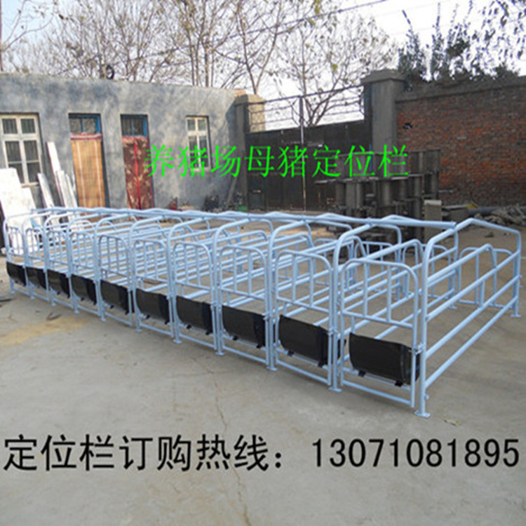 方绿字定位栏+电话