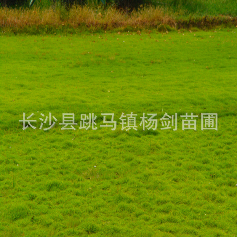 DSC01644_副本