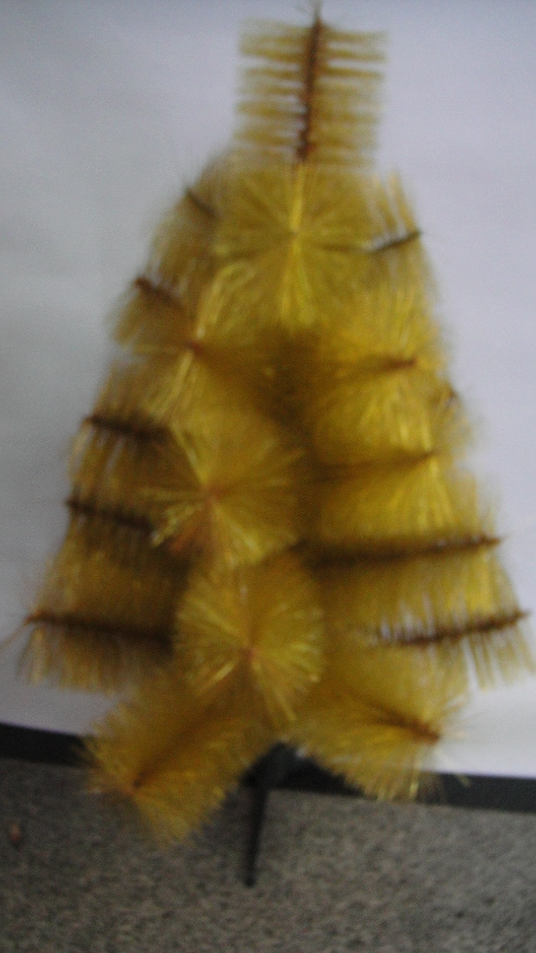 DSC03718