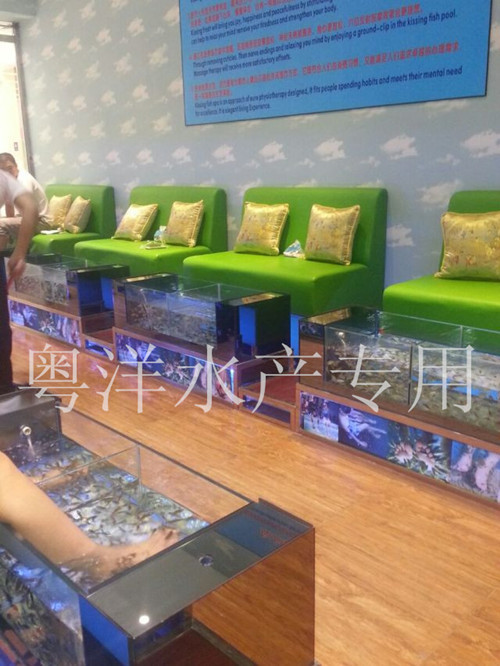 C2D3CA967ANUCAYBMWUECA5BS2F8CA