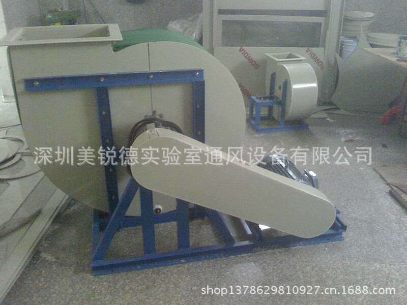IMG0311132500