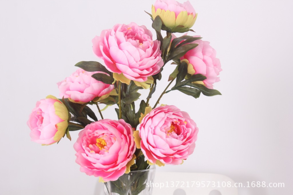 把牡丹6(Peony Bouquet) SJB1244