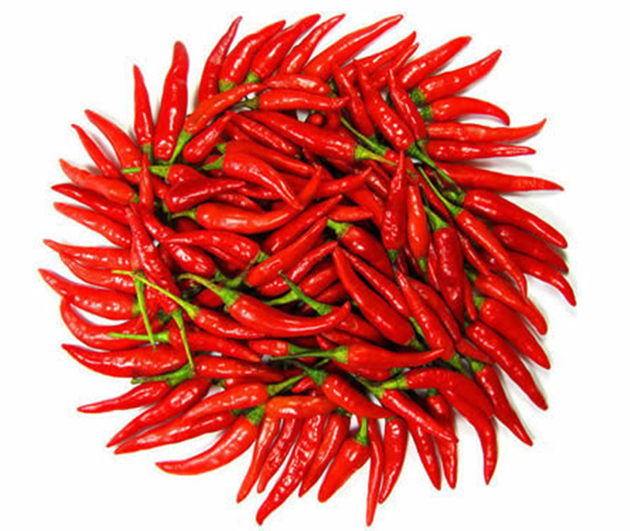 厂家直销供应qs 一级 各类调味香精料红辣椒圈/粒/粉