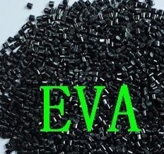 EVA