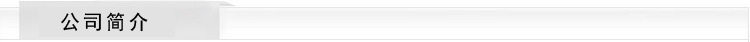 公司简介