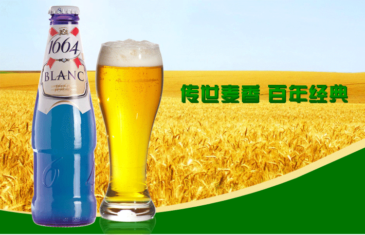 低价大量批发1644进口白啤酒 330ml x24瓶蓝瓶装