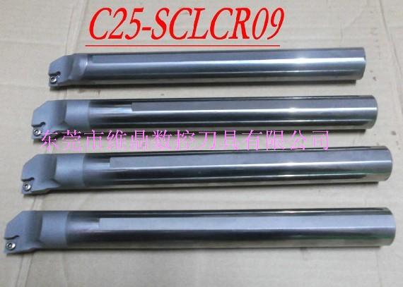 C25-SCLCR09