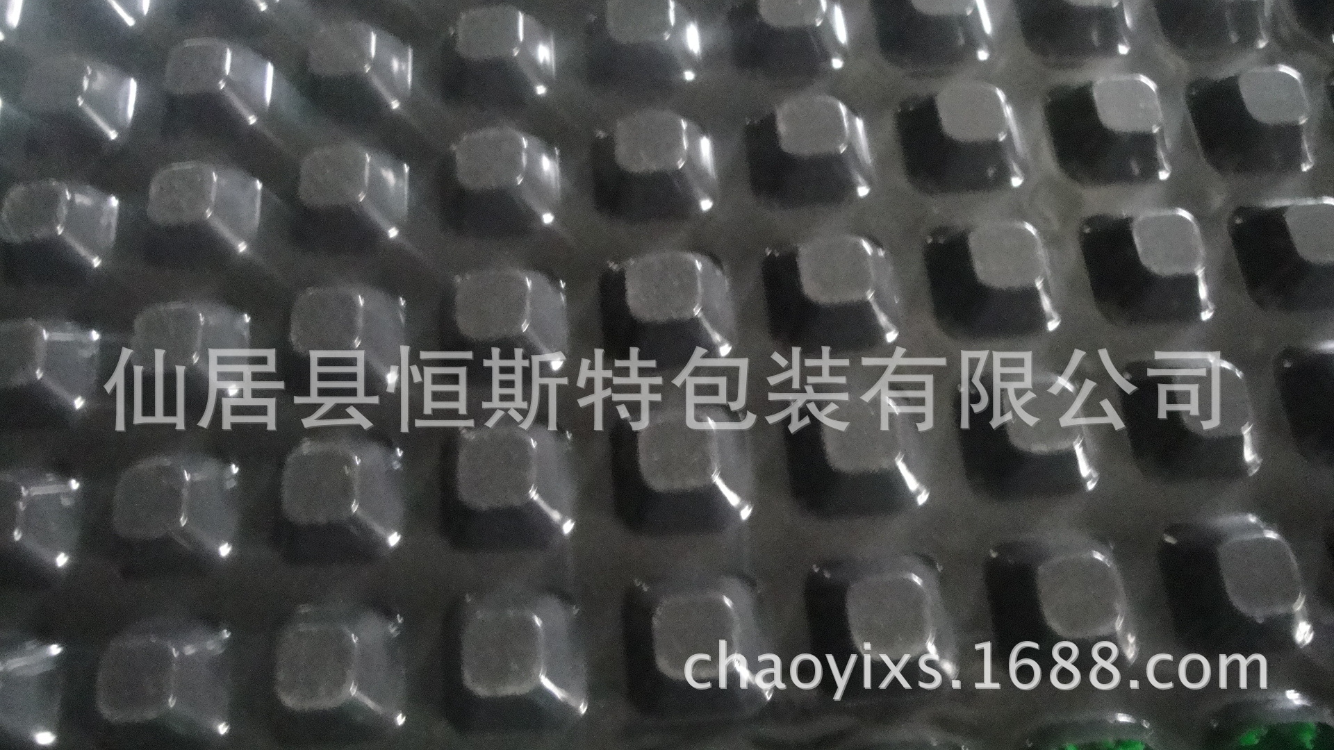DSC02229