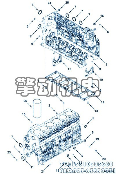 康明斯定位环 |Cummins 3949326