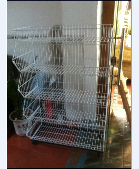 QQ图片20131209103210