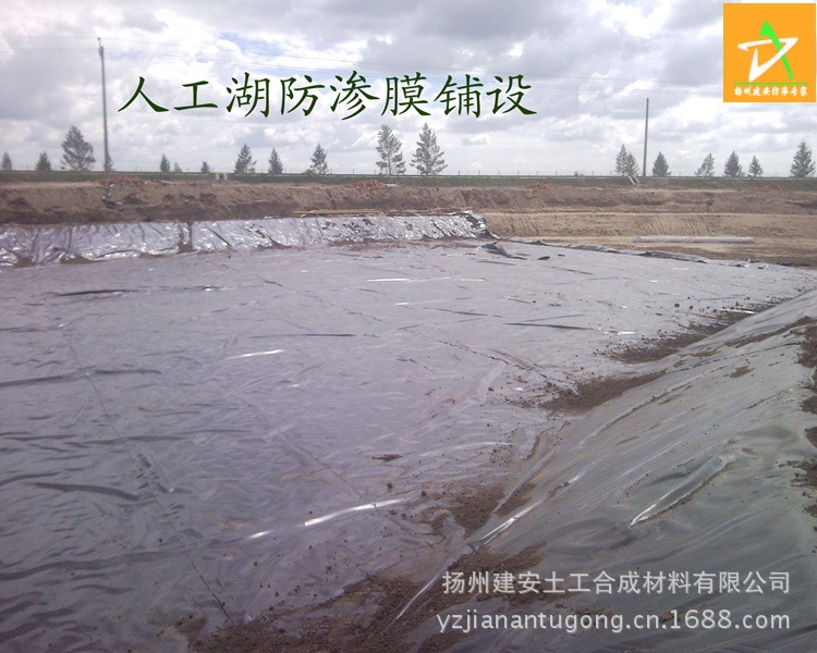 SNC00426副本-003_conew1