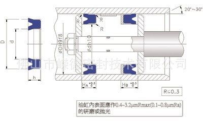 D-4密封圈在活塞中用原理图
