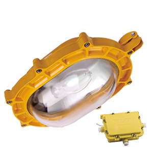 17、ZBFC8120内场防爆强光泛光灯