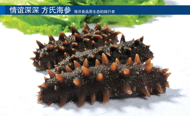 尾部