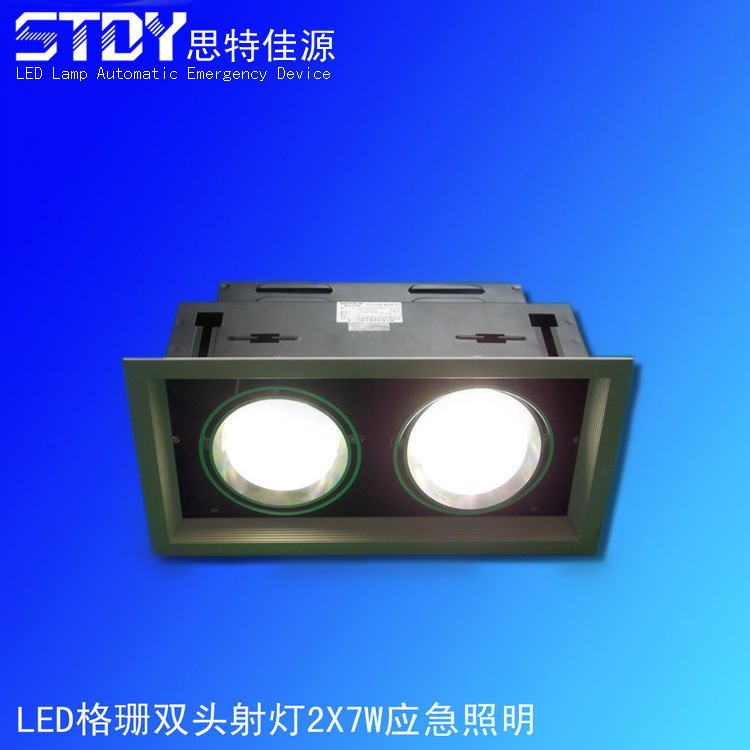 LED格珊双头射灯2X7W应急照明_副本_conew1
