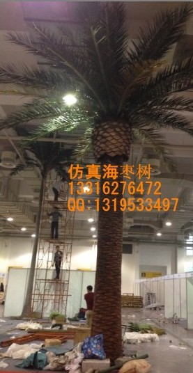 70-80CM 室外2500元米,室内2200元米