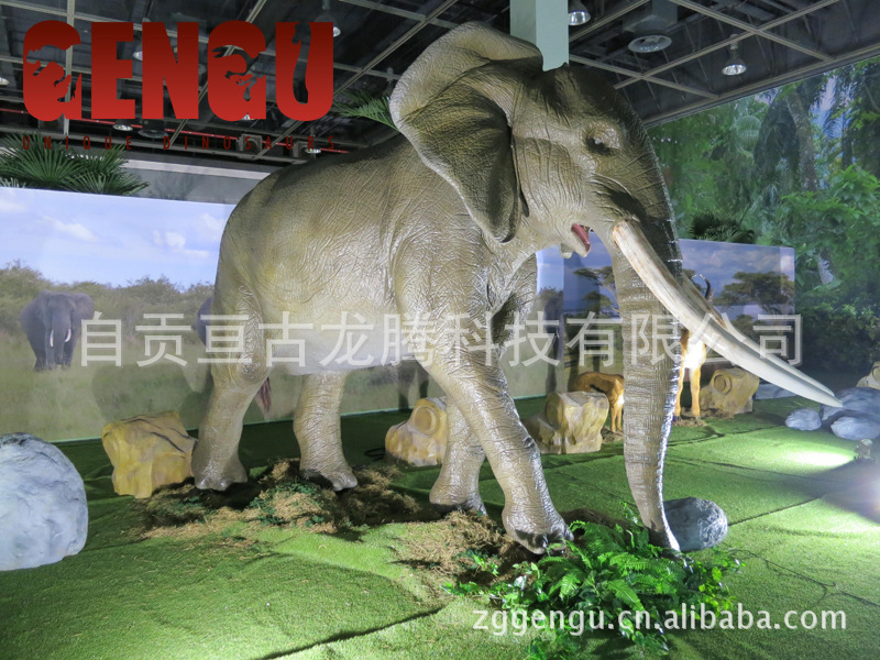 elephant