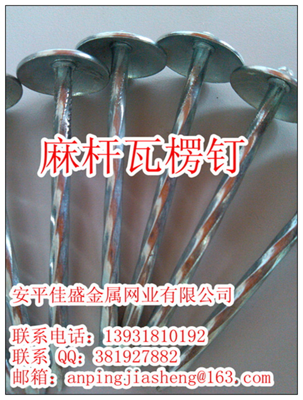 IMG_20120808_164821_副本