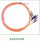 多分支光纤传光束