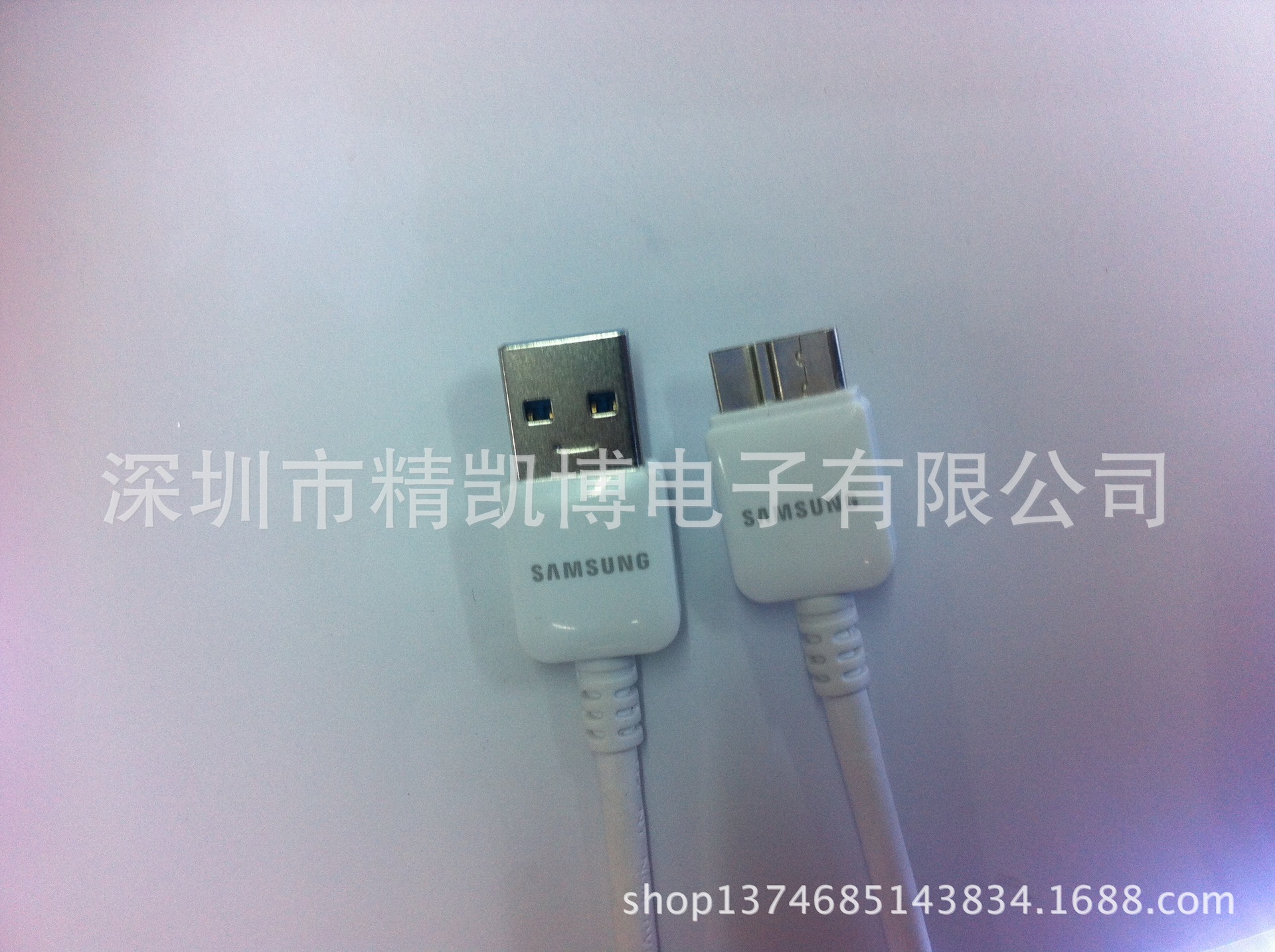 照片 231