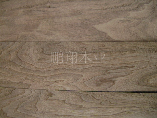 黑胡桃2