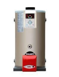 燃气热水锅炉[1]