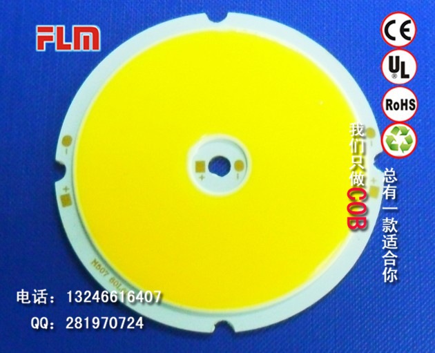FLM507-30W（60L-60V）
