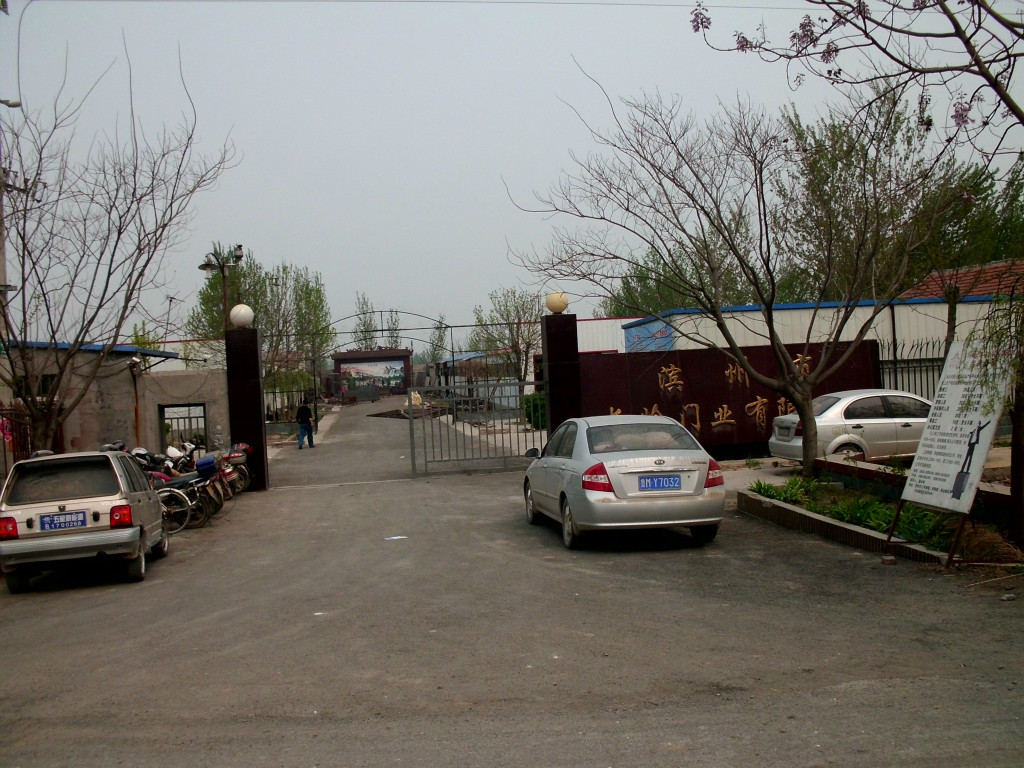 CIMG5352