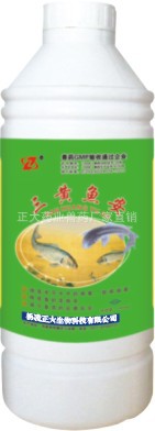 三黄鱼安