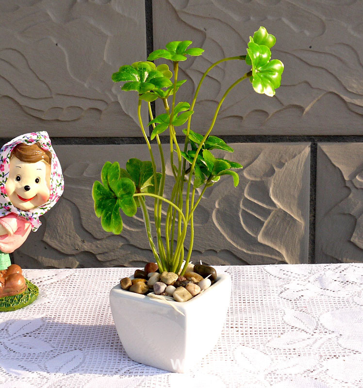 限时促销 热卖 家居装饰仿真植物 带根水培植物叶hx030 塑料花图片