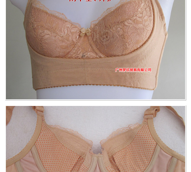 2713實物圖-切_02