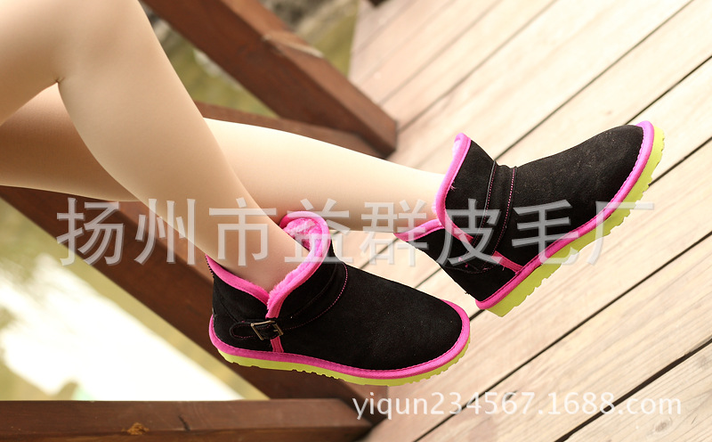 DPP_0027
