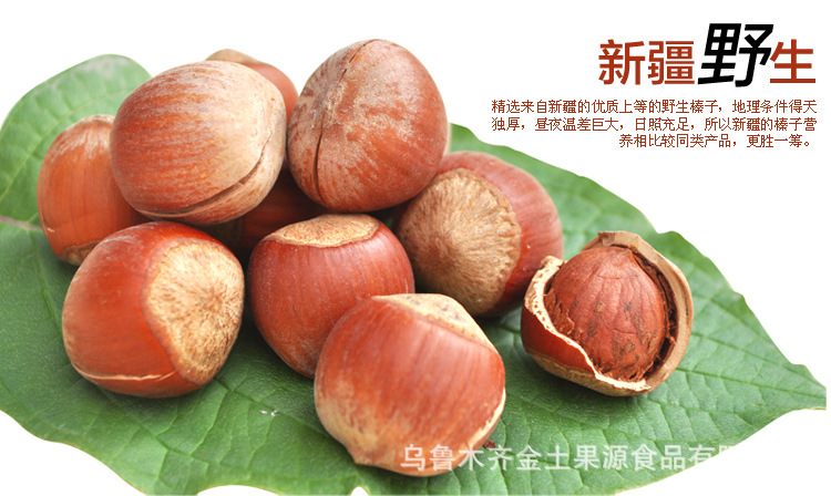榛子 新疆持产 干果 坚果 休闲食品 食品 坚果批发 新疆干果