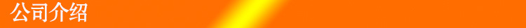 公司介绍
