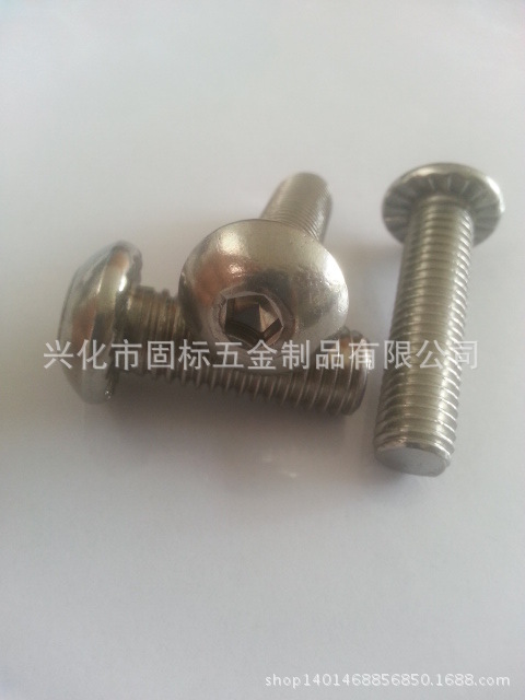 不锈钢内五角防盗螺丝