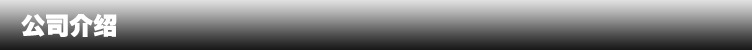 公司介绍